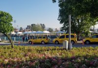 Fethiye Salı Pazarı thumbnail